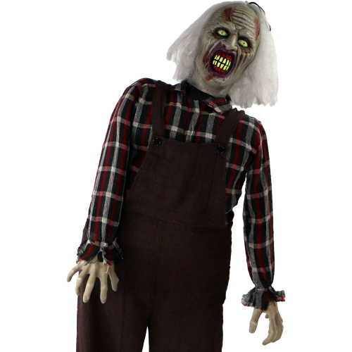 Haunted Hill Farm HHZOMB-3FLSA - 8